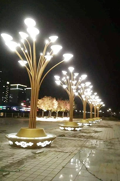 景观124